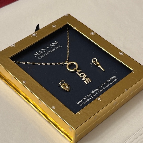 Love Mix + Match Charm Alex and Ani Necklace - Picture 4 of 5